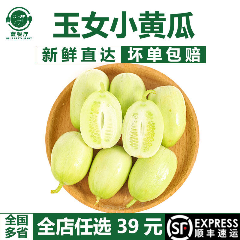 玉女黄瓜新鲜水果小黄瓜