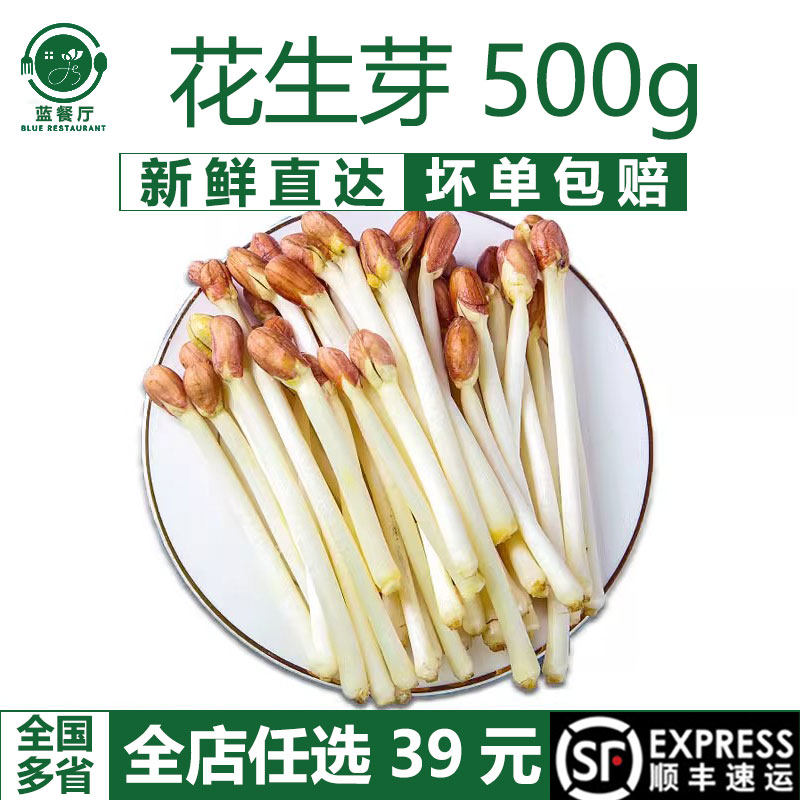 蓝餐厅新鲜花生芽500g