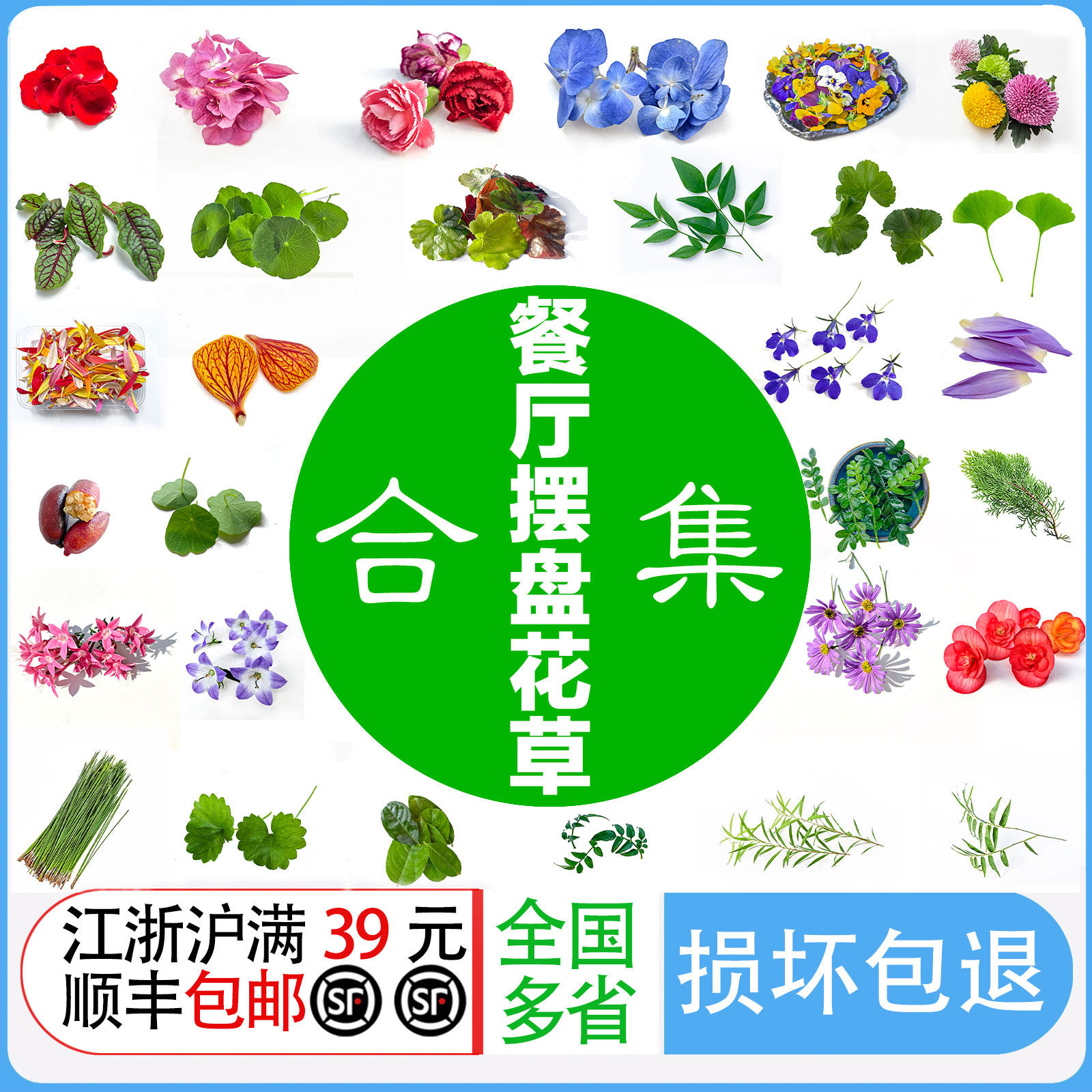 新鲜摆盘装饰花草合集