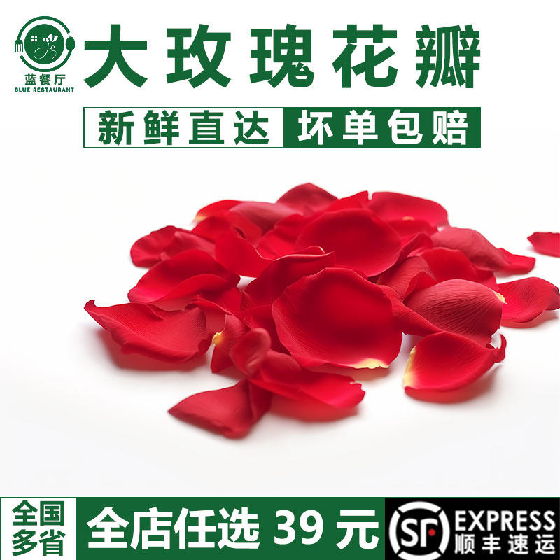 新鲜大玫瑰花瓣浪漫月季花