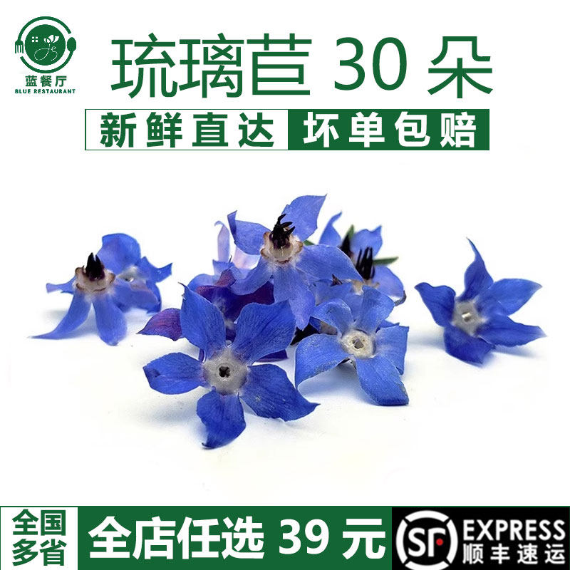 新鲜琉璃苣一盒30朵食用花
