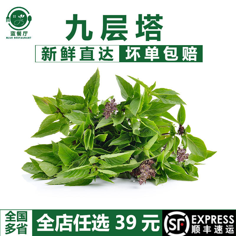 蓝餐厅新鲜九层塔蔬菜沙拉食材
