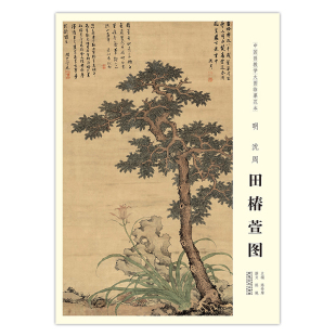 明沈周田椿萱图 陈传席主编 正版 原大尺寸 书籍 中国明代花鸟画 中国画教学大图临摹范本 社 安徽美术出版