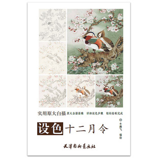 临摹与欣赏 书籍 天津杨柳青画社 正版 三十一日 详细设色步骤 国画技法 白描花卉画 实用原大白描 牛鹏飞编绘 设色十二月令