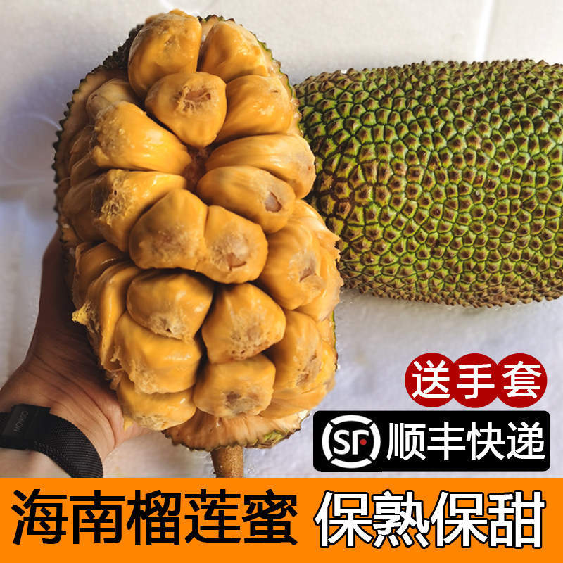 周小贝海南榴莲蜜网红水果