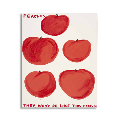 【一口价】插画师David Shrigley复刻版画水果小清新装饰挂画芯