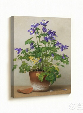 无框画Henrietta复古紫耧斗菜盆栽法式中古餐厅花卉客厅装饰挂画