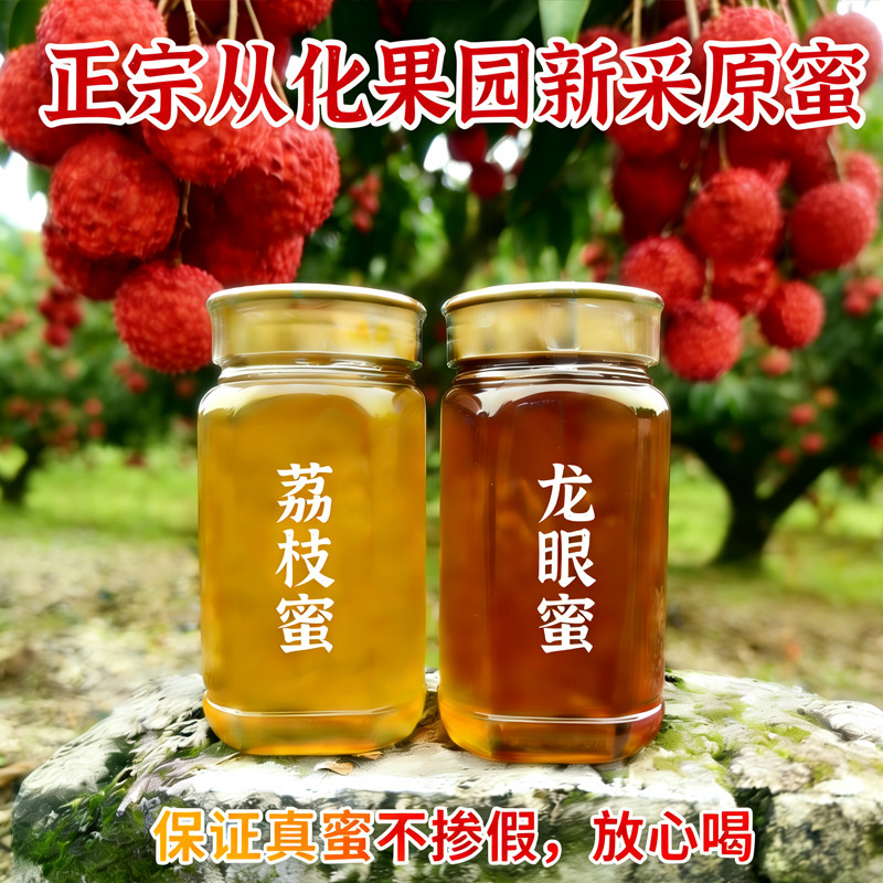 2026年从化龙眼蜜荔枝蜜土蜂蜜峰纯正天然农家自产无添加桂圆蜜糖
