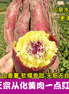 正宗从化一点红番薯喝山泉水长大