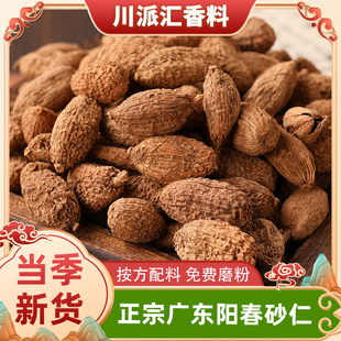 正宗广东阳春砂仁毛砂仁长壳砂仁卤肉火锅香料商用卤料另售香砂仁