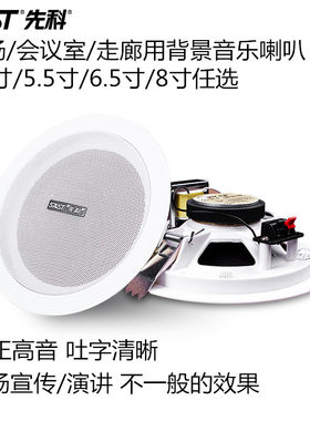 先科5.5寸吸顶天花喇叭