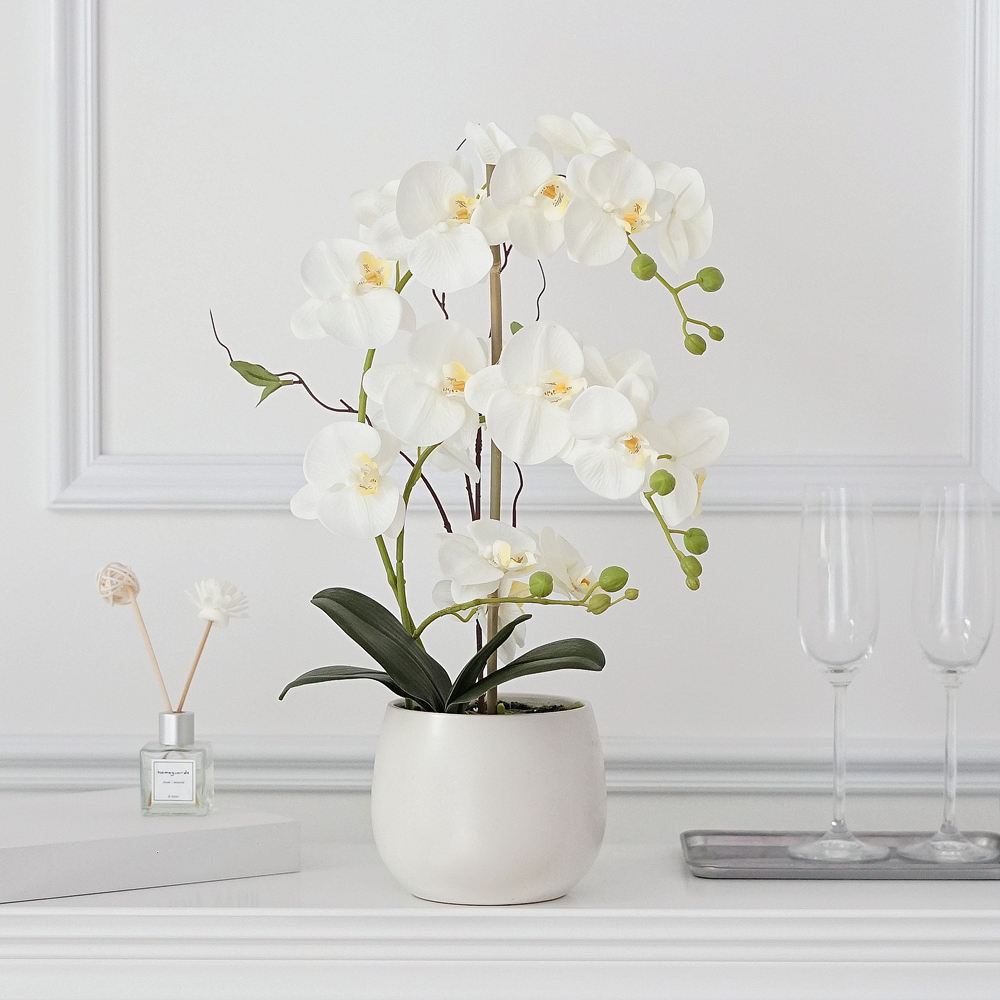 仿真蝴蝶兰盆栽套装客厅装饰摆件酒店玄关陶瓷盆绿植餐桌摆放装饰