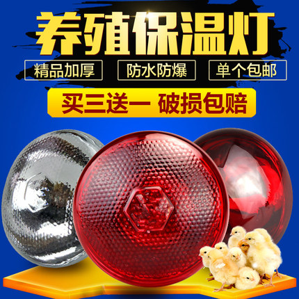 220v远红外线275w养殖畜牧仔猪育雏鸡加热防爆保温取暖灯泡PAR38E