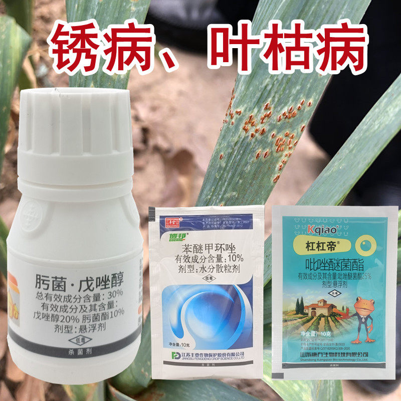 大葱紫斑病大蒜叶枯病锈病专用药花生叶斑病杀菌剂正品农用