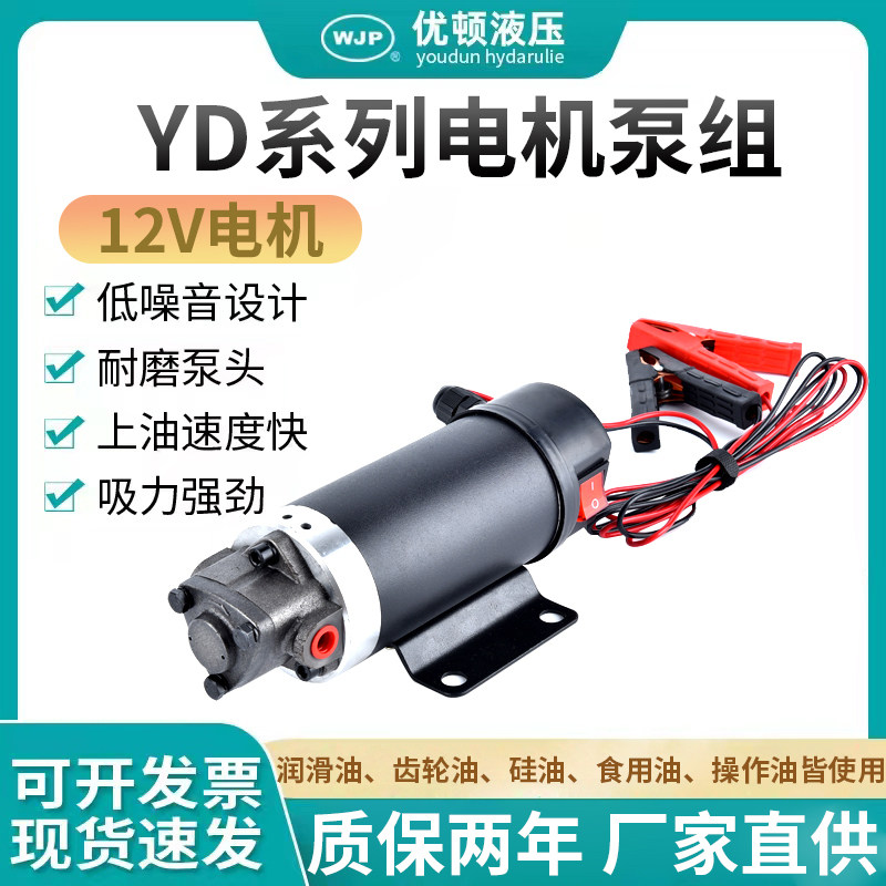 电动12V静音抽油泵车载4S保养抽油泵小型自吸泵润滑齿轮泵 机油泵