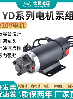 220V便携式静音抽油泵保养加油4s店抽油齿轮泵工业电动柴油齿轮泵