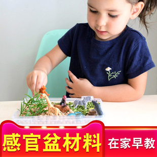 蒙氏感官游戏透明盆儿童创意感官盆蒙特梭利益智玩具早教自制游戏