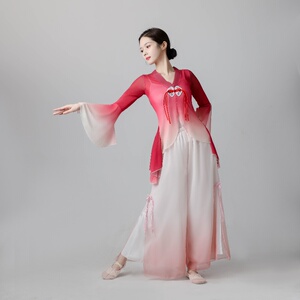 古典舞舞蹈服新款弹力网纱演出服中国风民族练功服飘逸身韵表演服