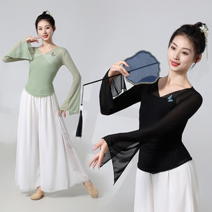 2024新款 古典舞纱衣演出服飘逸形体中国舞练功服成人舞蹈上衣女款