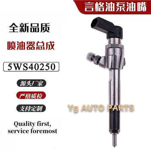 工厂直供5WS40250共轨喷油器柴油机电喷喷油嘴燃油喷油总