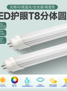 LED办公灯盘全光谱高显无频闪5000KRG0RA97T8分体圆管护眼条形灯