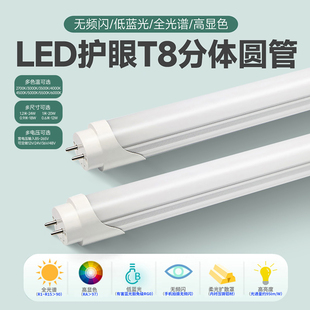 LED辦公燈盤全光譜高顯無頻閃5000KRG0RA97T8分體圓管護眼條形燈