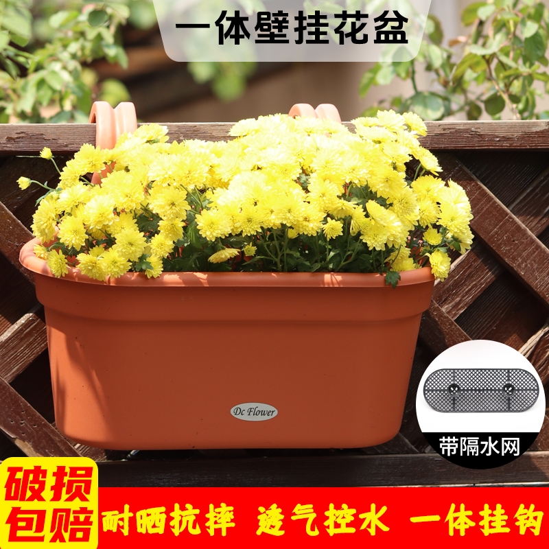 家用园艺绿植花卉垂吊植物壁挂式种花养花盆双钩挂盆阳台花园壁挂,鲜花速递/花卉仿真/绿植园艺,花盆,淘宝优惠券,粉丝福利购,淘宝优惠卷