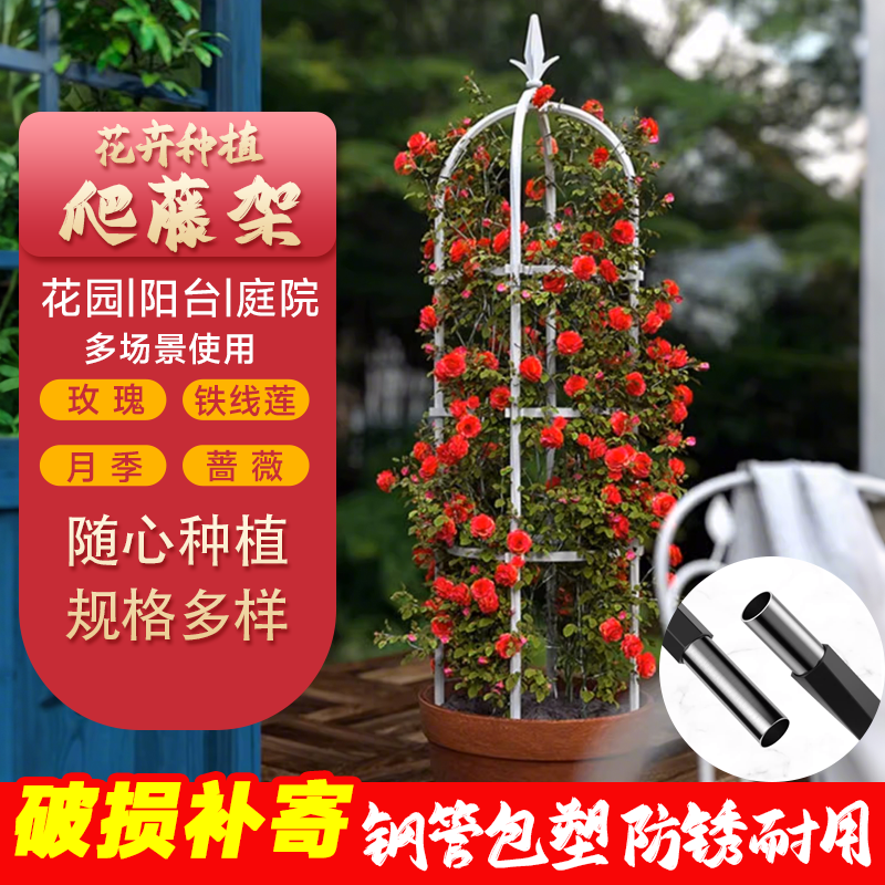 花架爬藤架藤架铁线莲支架铁艺月季阳台攀爬植物架子杆户外支撑架,鲜花速递/花卉仿真/绿植园艺,花架,淘宝优惠券,粉丝福利购,淘宝优惠卷