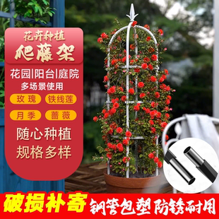 花架爬藤架藤架铁线莲支架铁艺月季阳台攀爬植物架子杆户外支撑架