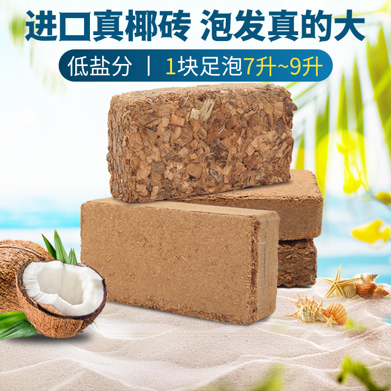 格陆谷进口椰砖家用种花多肉土