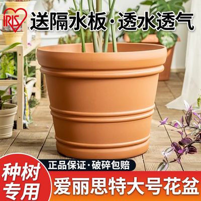 IRIS特大号花盆树脂塑料盆加厚种树果树彷陶瓷大口径庭院深凸纹