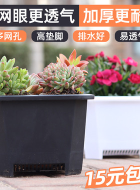 家用多肉育苗扦插小黑方形韩式方盆大白方塑料景天花盆养花种植盆