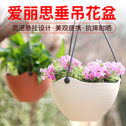 简约树脂爱丽思垂吊花盆