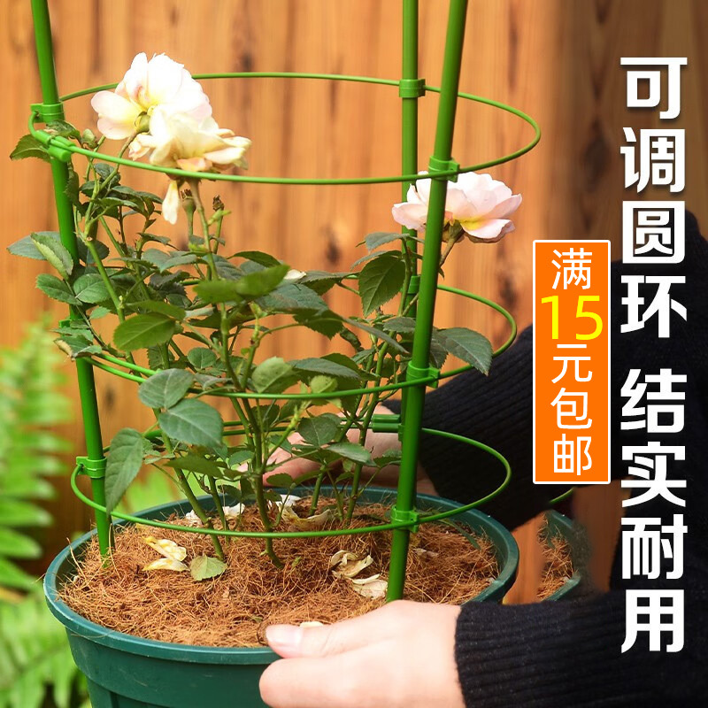 园艺蔷薇月季爬藤架花花卉铁线莲