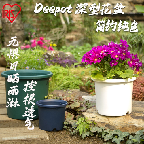 爱丽思直筒圆形月季花盆
