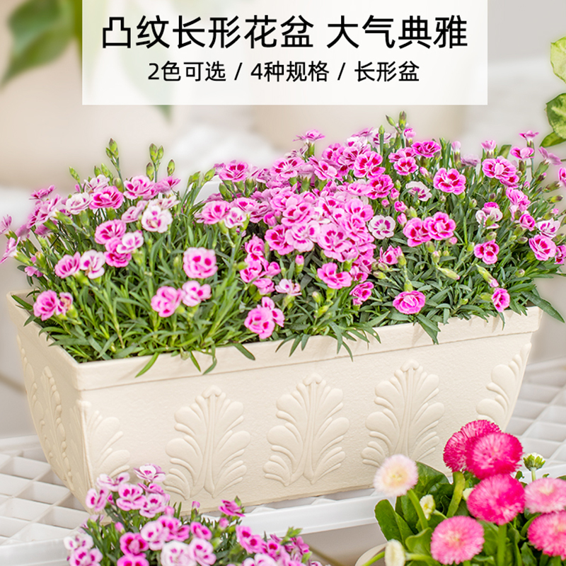 爱丽思加厚浮雕长方形大号花盆个性凸纹塑料盆栽阳台种菜爱丽丝盆