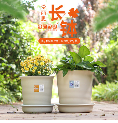 树脂简约爱丽思圆形长钵花盆