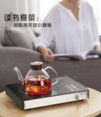 捡漏驭龙大功率电陶炉电热炉进口触摸孕妇专用无辐射直热烧烤礼品