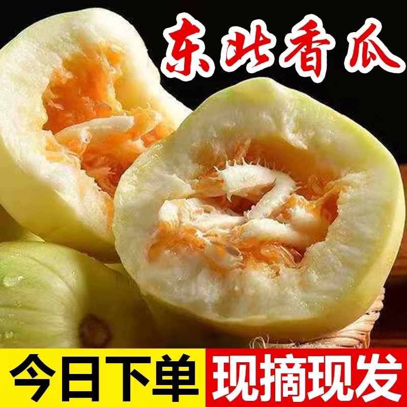 东北香瓜甜瓜5斤现摘顺丰包邮