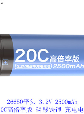 德力普26650高倍率3.2V铁锂电池2500/3000/3300/4000mAh充电器322