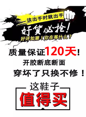 帆布板鞋潮流2024o新春秋潮流运动透气百搭休闲夏季薄款男士男鞋