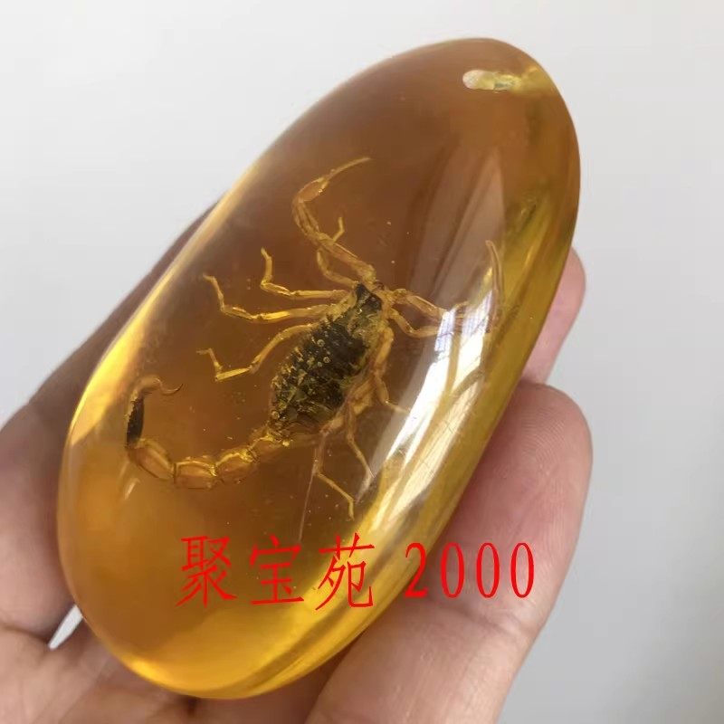 五毒把件真昆虫标本独霸天下手玩件男女款仿琥珀老蜜蜡蝎子把玩件