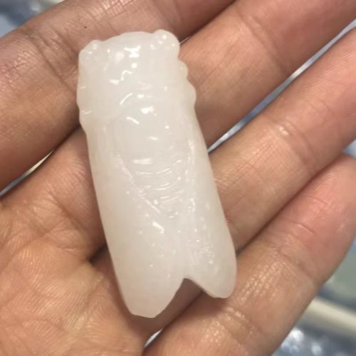 白玉蝉一鸣惊人挂件男女学生天然羊脂级白玉阿富汗玉石知了吊坠