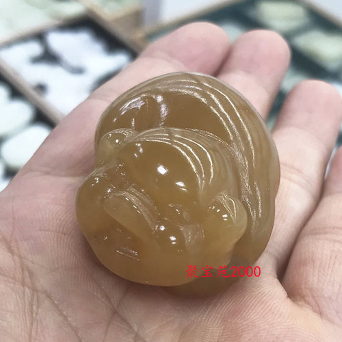 招财玉福猪把玩件生肖猪护身符天然新疆和田玉黄玉色玉石猪手把件