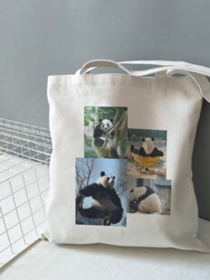 网红大熊猫萌兰帆布包西直门三太子定制纪念品礼物外出环保手提袋