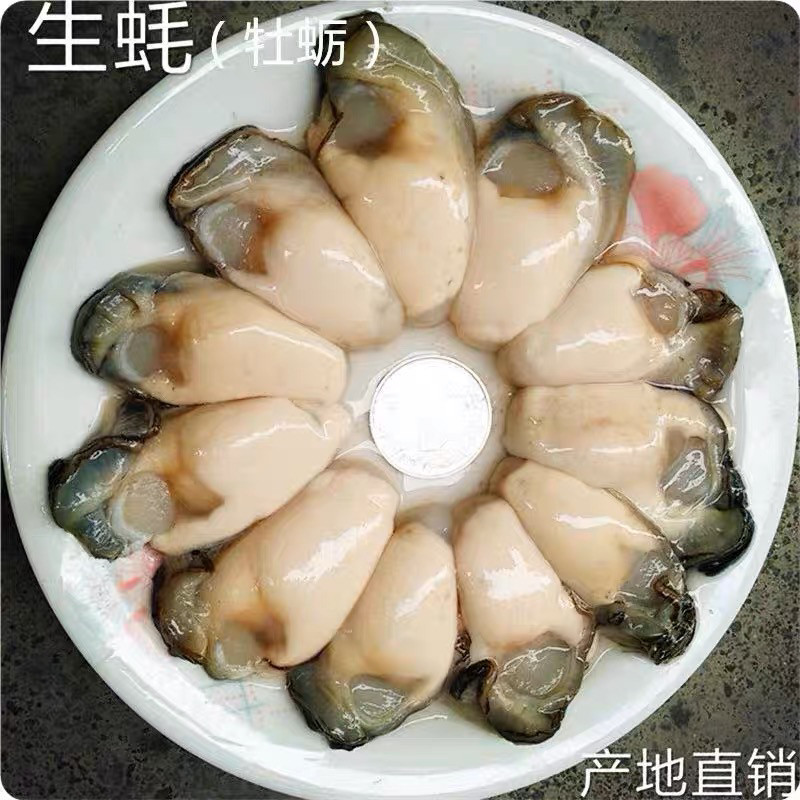 生蚝肉鲜活生蚝现剥海蛎肉生吃品质牡蛎肉海鲜水产贝类生蚝