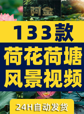 荷花荷叶莲花池塘唯美夏天夏日清新绿色植物风景素材高清ai视频