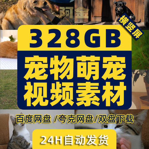 猫咪宠物萌宠短视频素材猫猫小狗动物国外搞笑抖音无水印剪辑起号