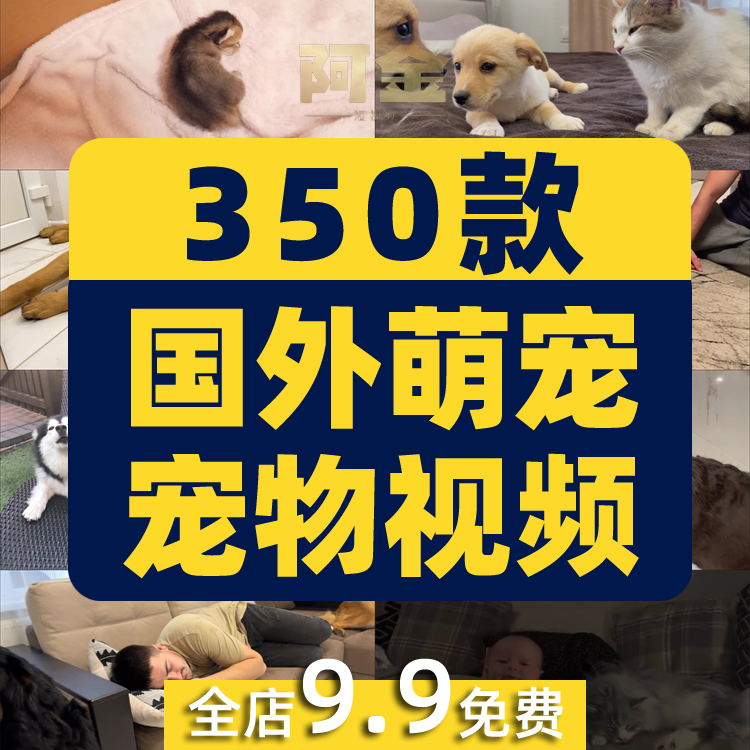 国外宠物萌宠搞笑动物猫咪狗狗抖音短视频自媒体高清实拍素材剪辑