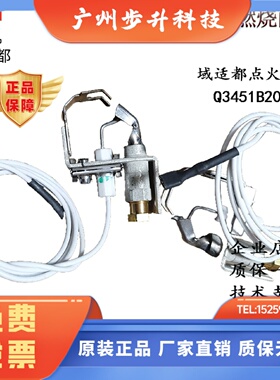 Q3451B2002/Q3451B2101点火电极/域适都/史密斯锅炉/壁挂炉